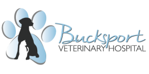 Bucksport Veterinary Hospital