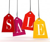 Don’t forget your pet this holiday season!